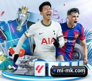 MK体育 APP